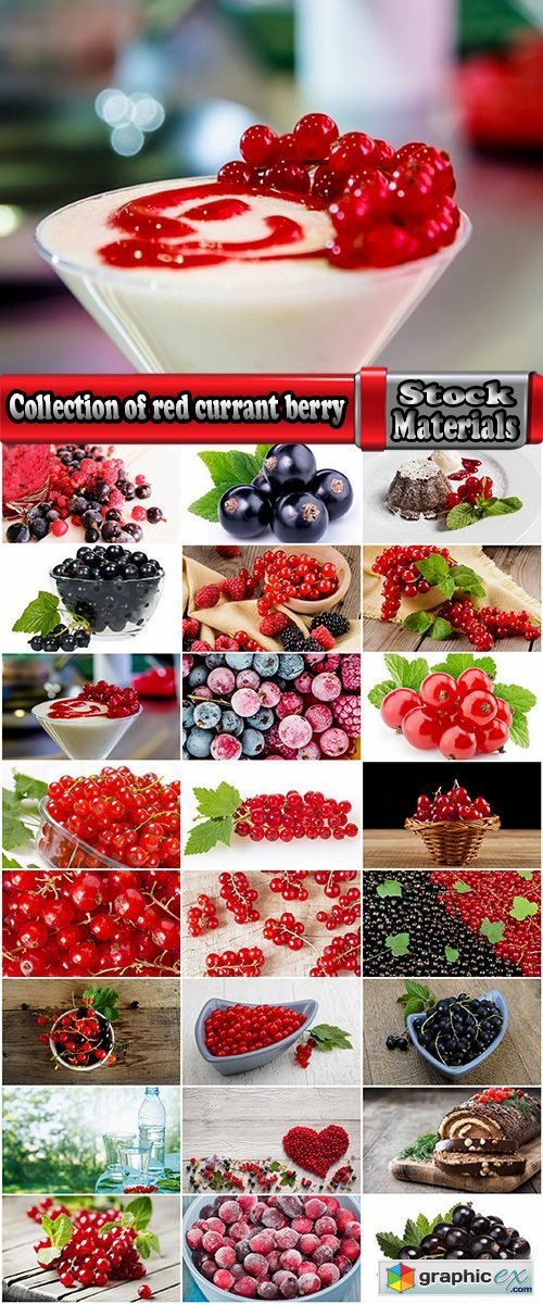 Collection of red currant berry black dessert juice 25 HQ Jpeg