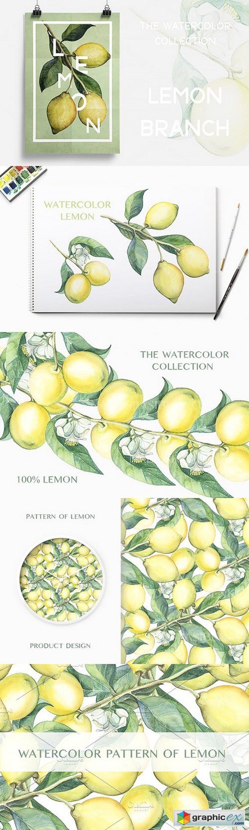 Watercolor lemon branches