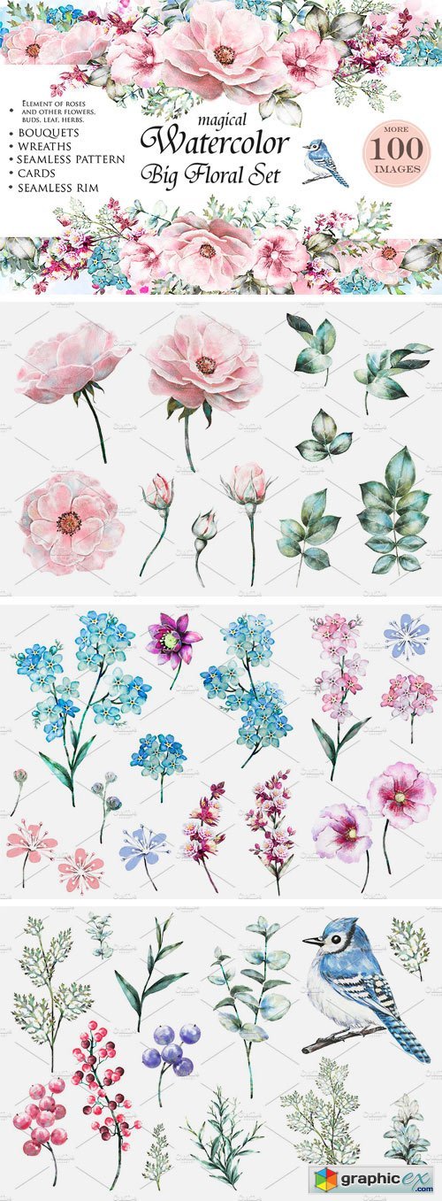 Watercolor Floral Design Set. Flower