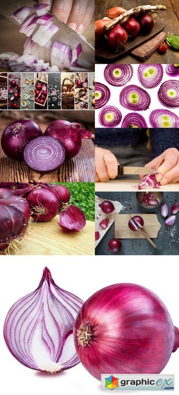 Red Onion - 9 x JPEGs