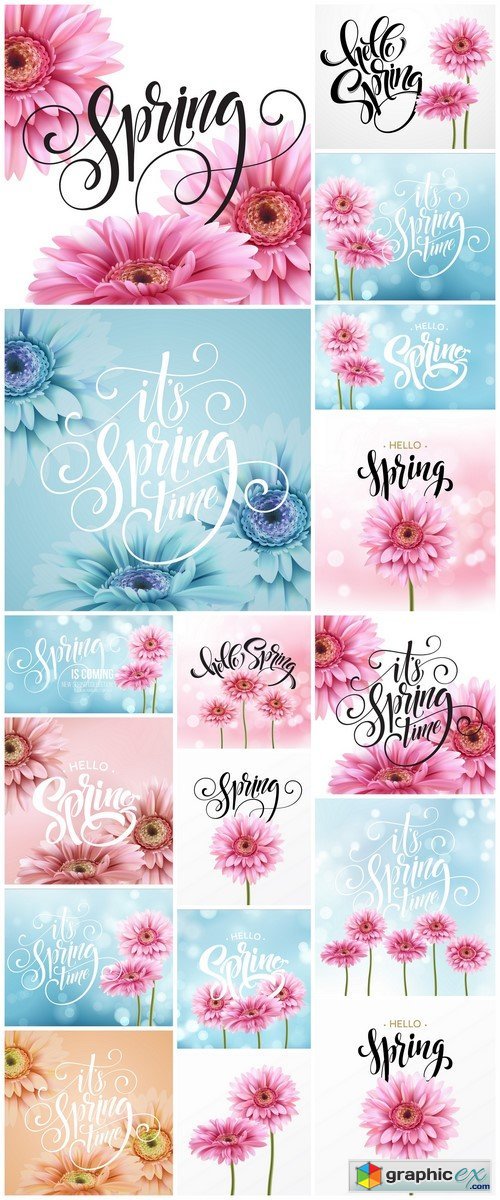 Gerbera Flower Background and Spring Lettering 17X EPS