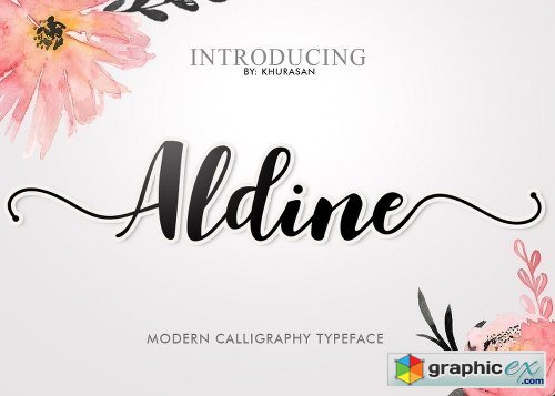 Aldine Script (20% off)