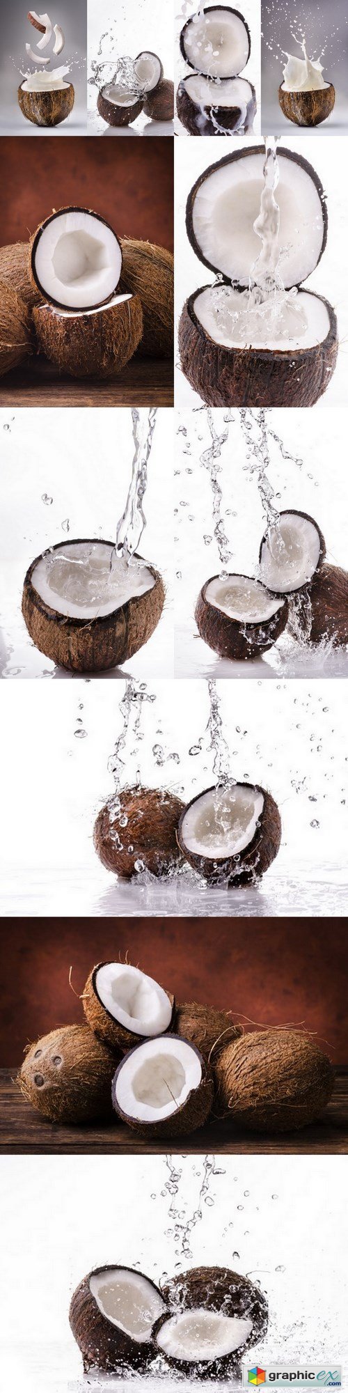 Coconut - 11 UHQ JPEG