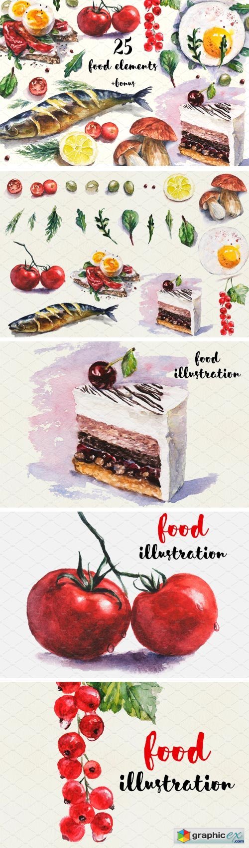 Watercolor Food/Veg Illustrations