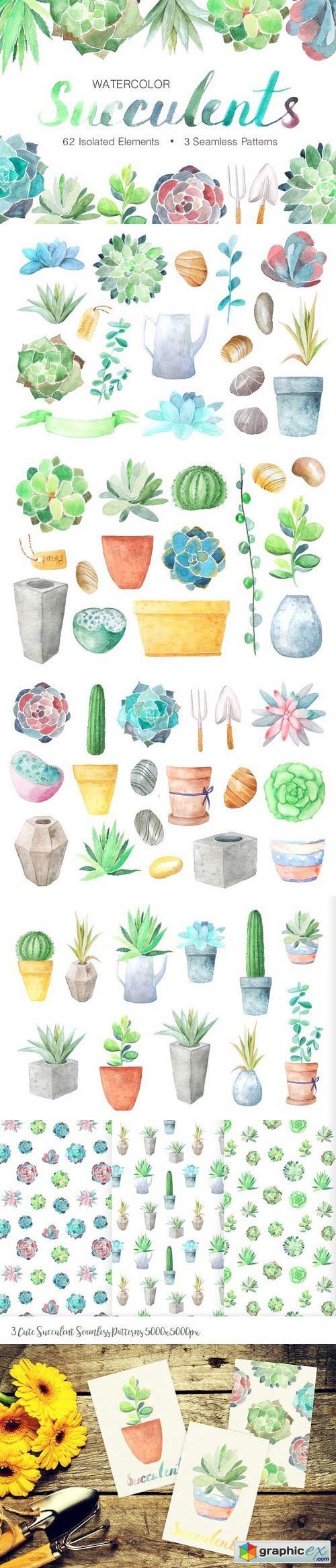 Watercolor Succulents Collection