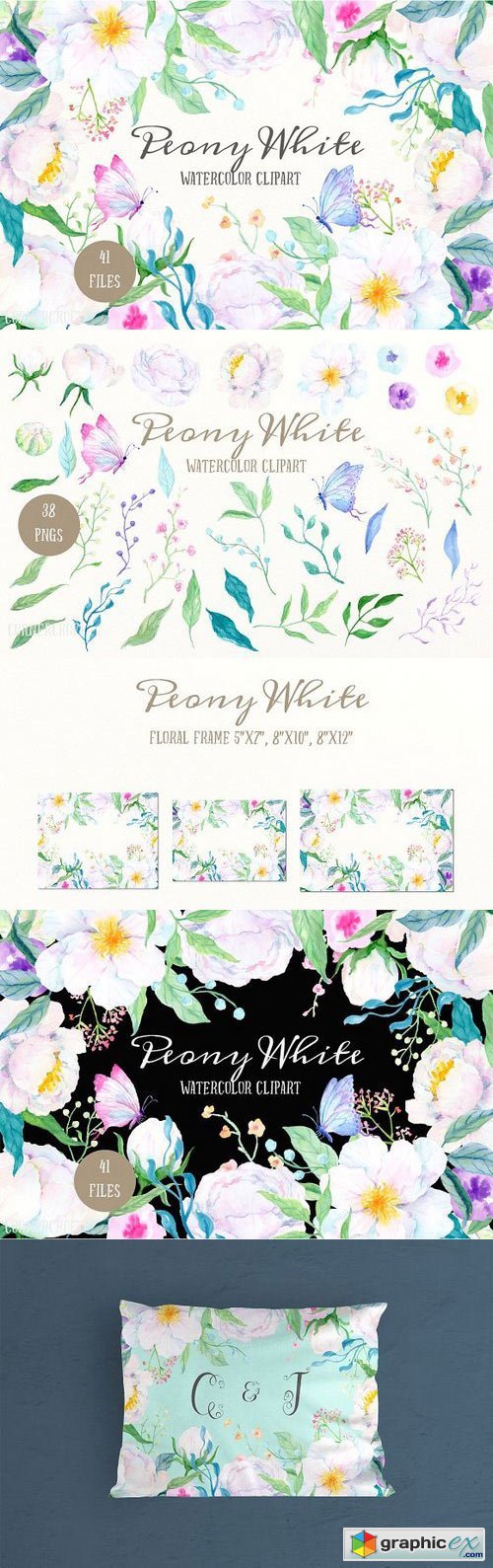 Watercolor Clipart Peony White