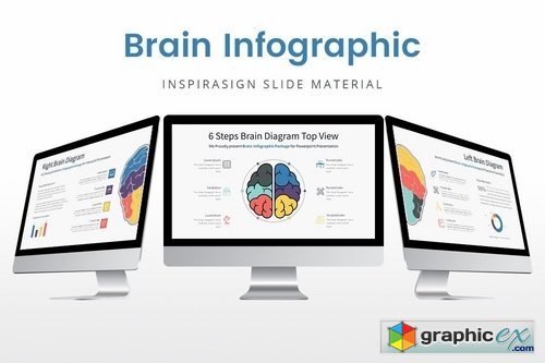 Brain Infographic - Slide Material