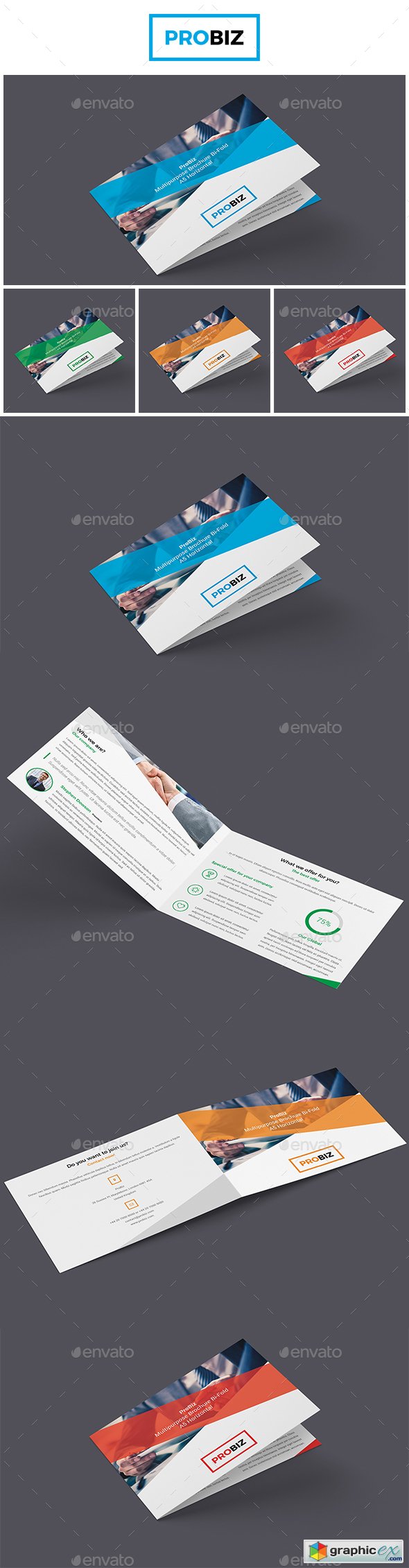 ProBiz - Business and Corporate Brochure Bi-Fold A5 Horizontal