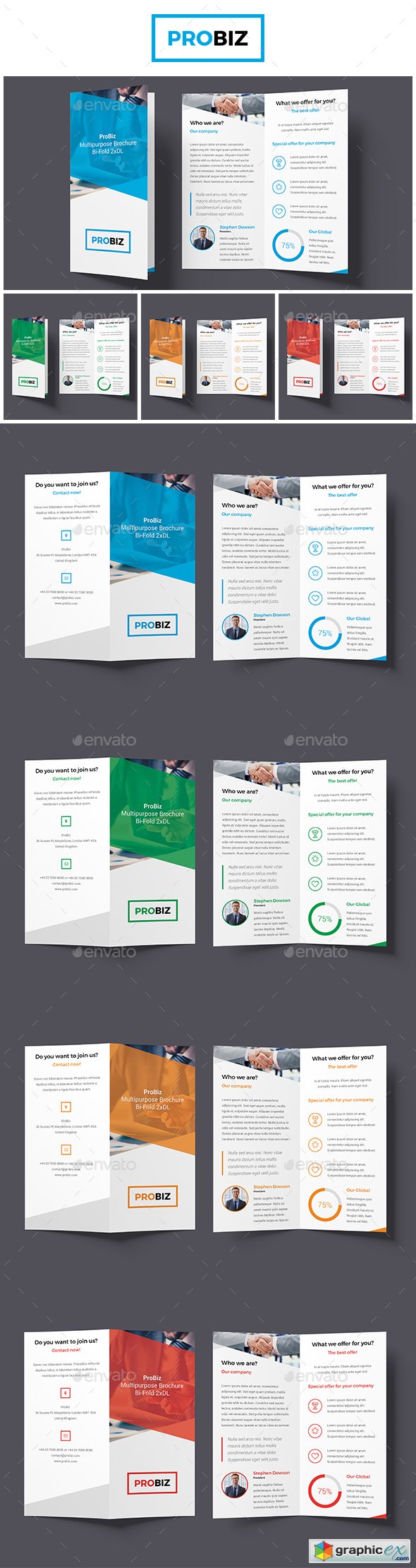 ProBiz  Business and Corporate Brochure Bi-Fold (2xDL)