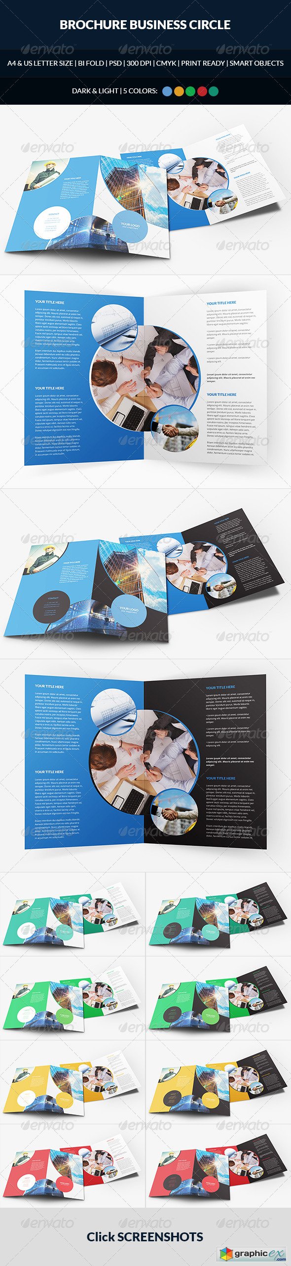 Brochure Business Circle Bi-Fold