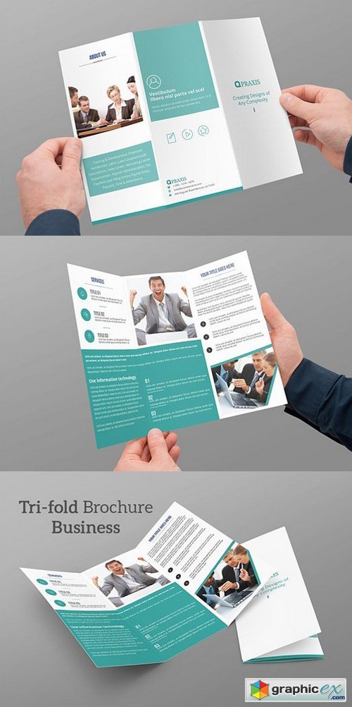Tri-fold Brochure Business