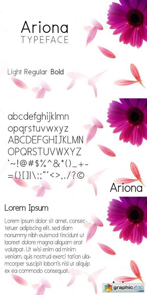 Ariona Font Family