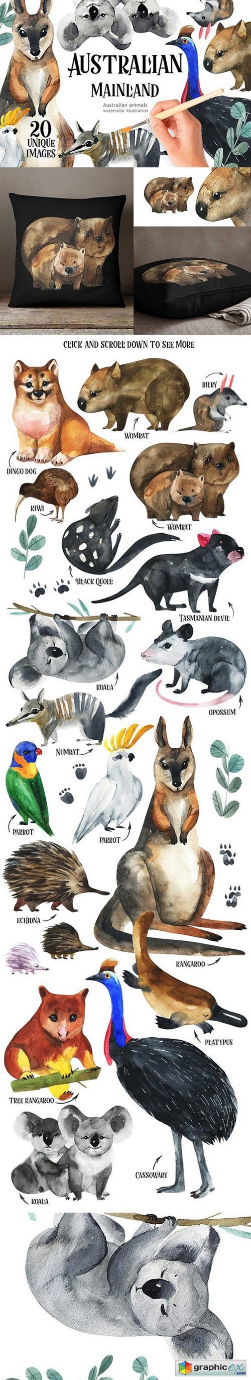 Australian Mainland-illustration set