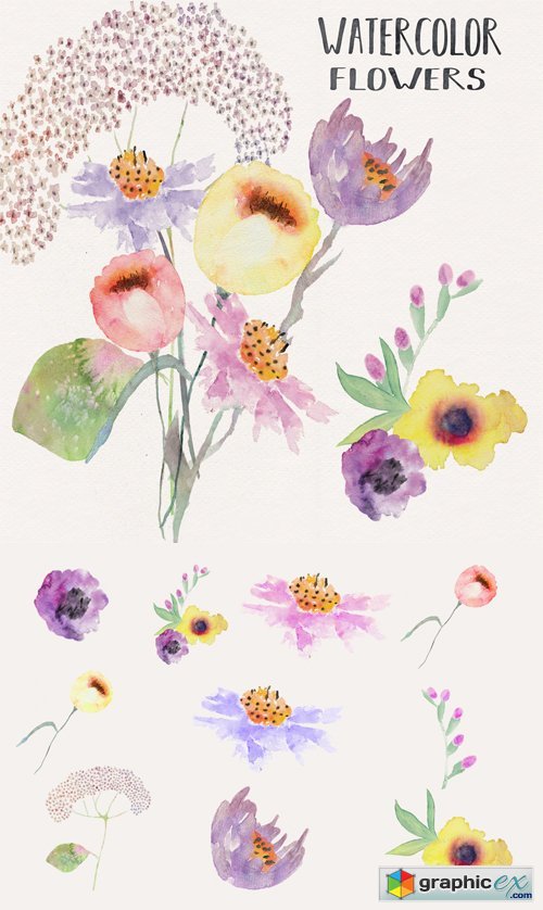 Watercolor Flowers - Transparent Png Elements