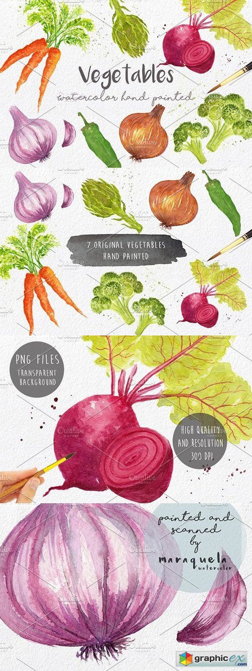 Vegetables in watercolor hand made