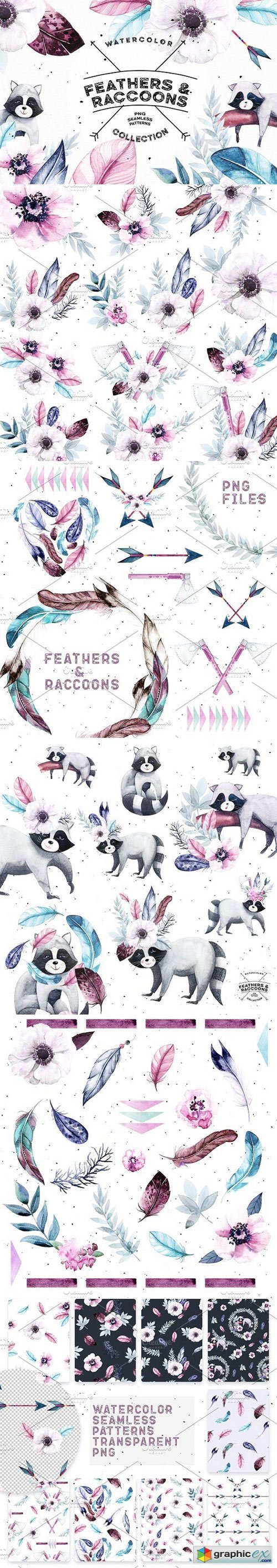 Watercolor Feathers & Raccoons