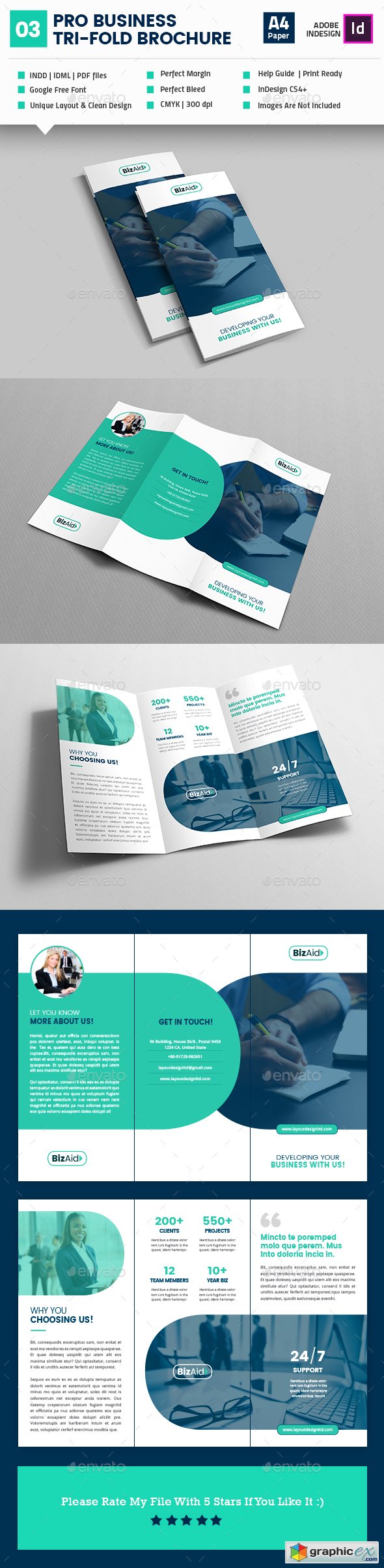 Pro Business Tri-Fold Brochure V03