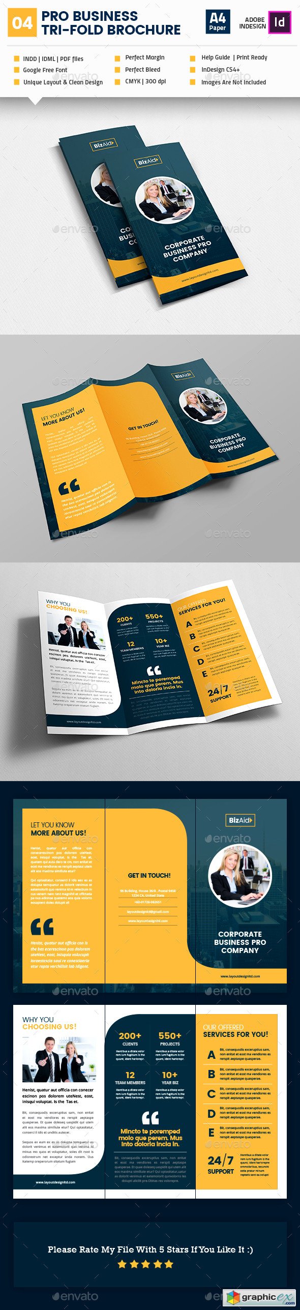 Pro Business Tri-Fold Brochure V04