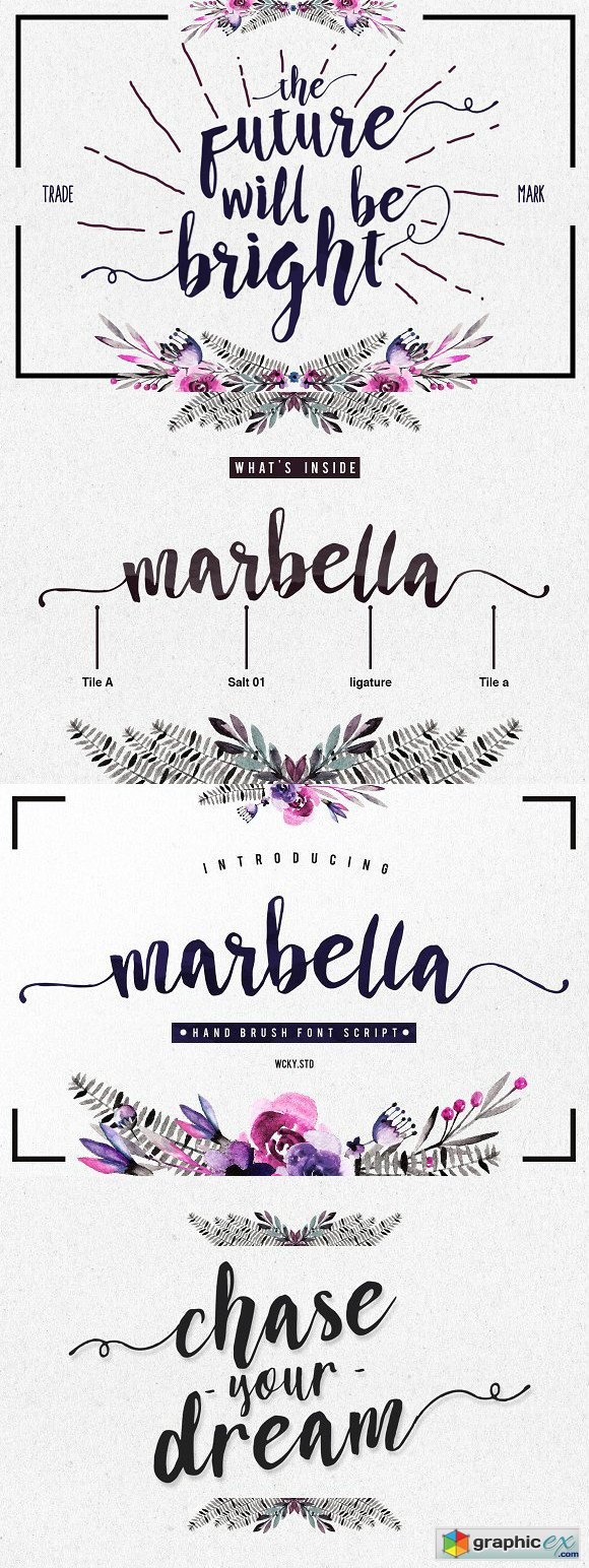 Marbella Typeface Font Script