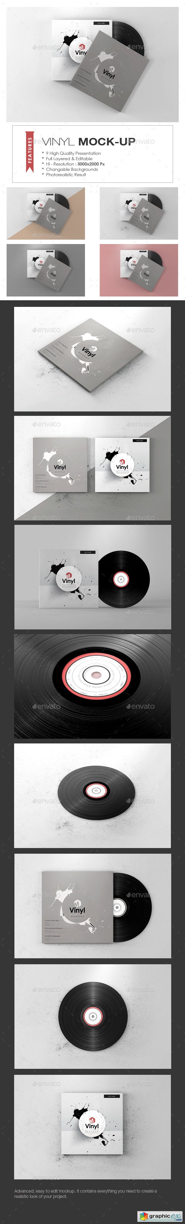 Vinyl Mock-up 19758502