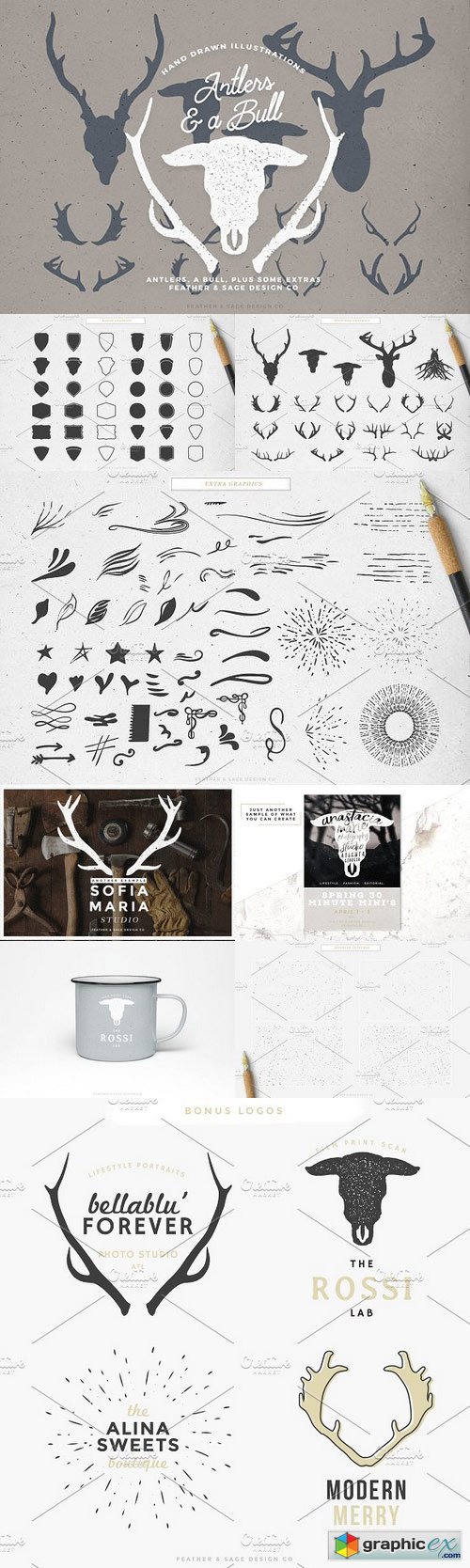 Antlers & a Bull Illustrations