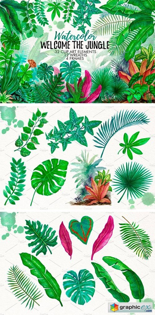 Tropical Leaves in the Jungle