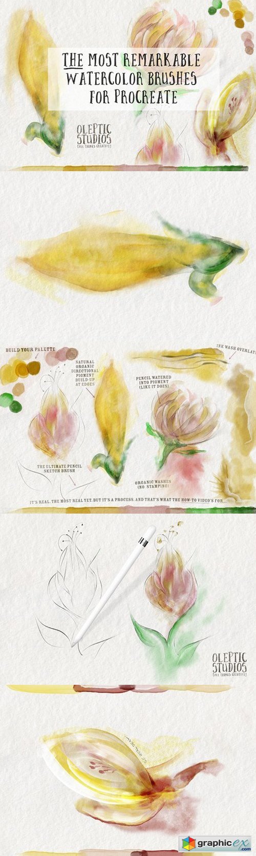 Best Watercolor Brushes � Procreate