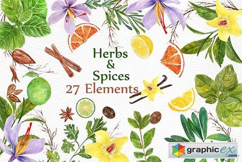 Watercolor Herbs and spices clipart