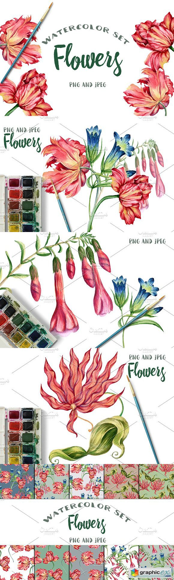 Watercolor flowers 1491453