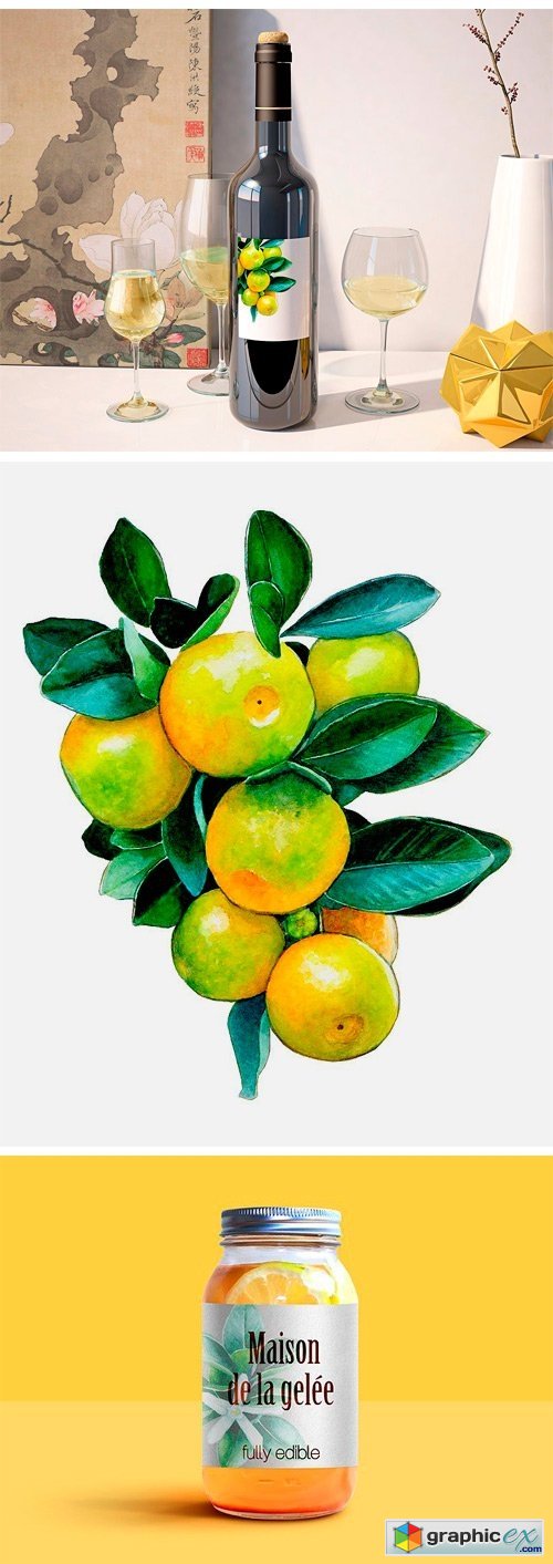 Watercolour Little Mandarins