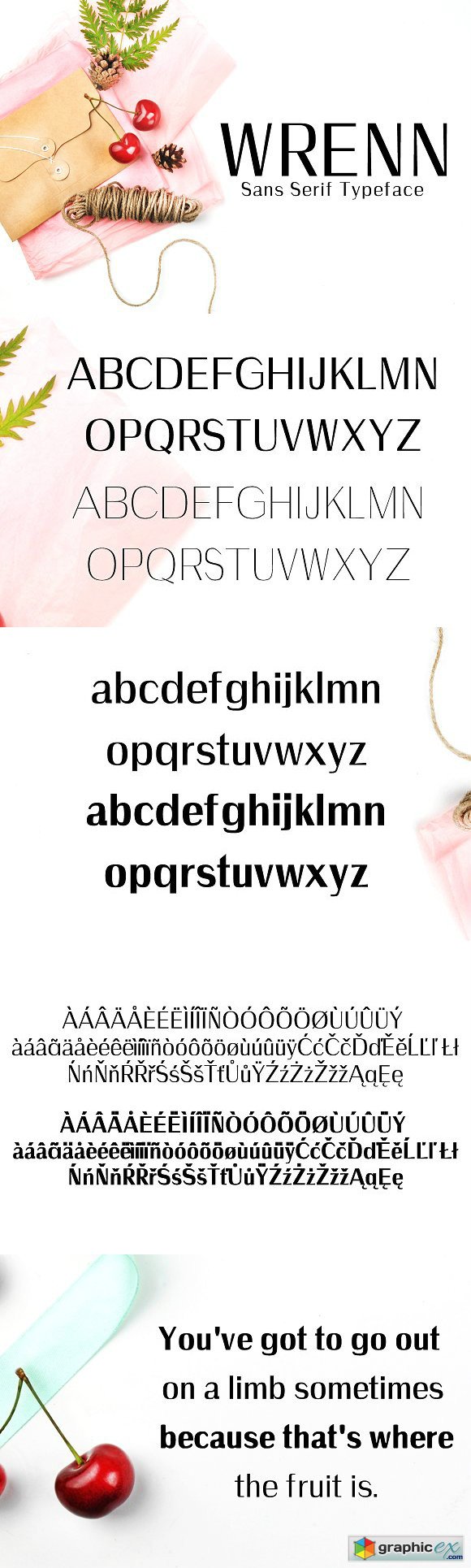 Wrenn Sans Serif Typeface