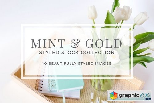 Mint & Gold Styled Stock