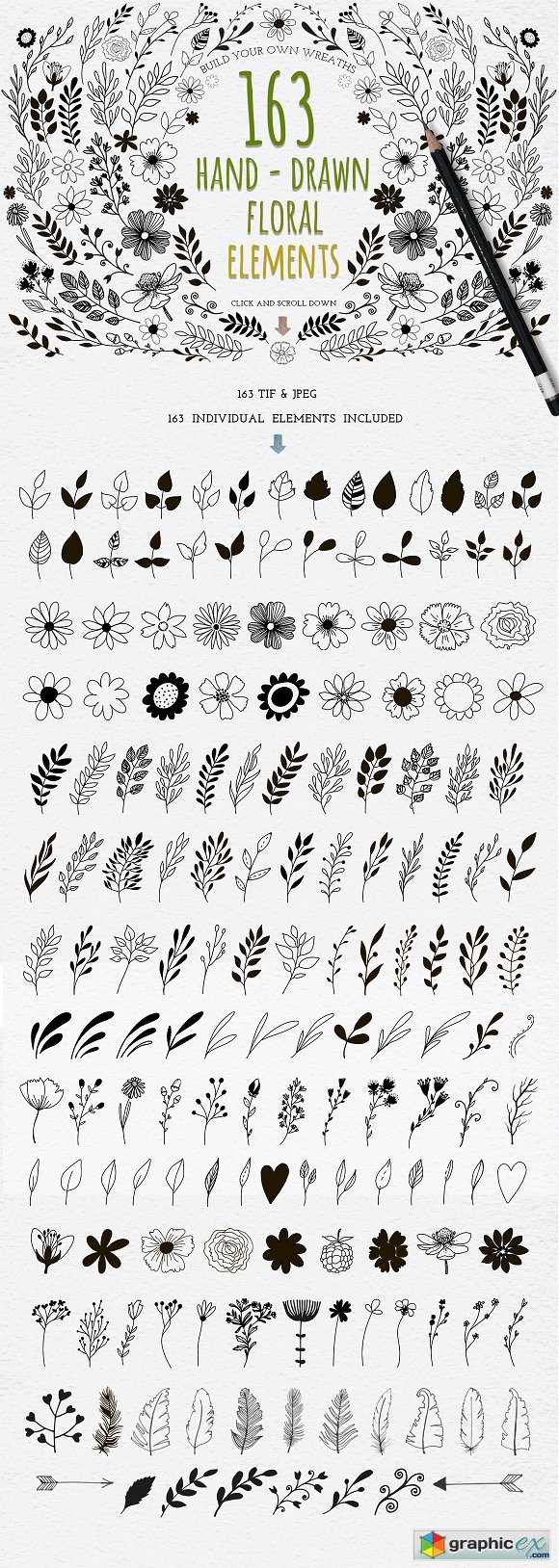 Hand Drawn floral elements 1491780