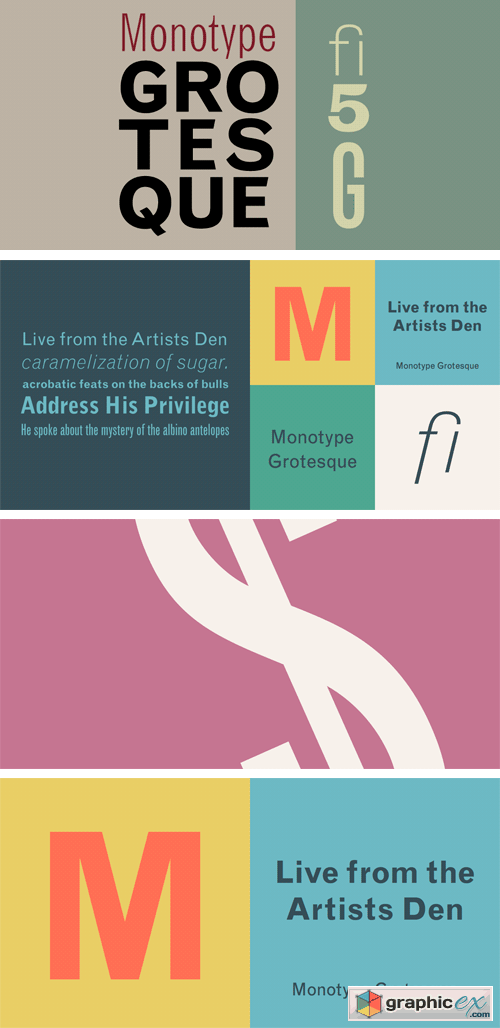 Monotype Grotesque Font Family