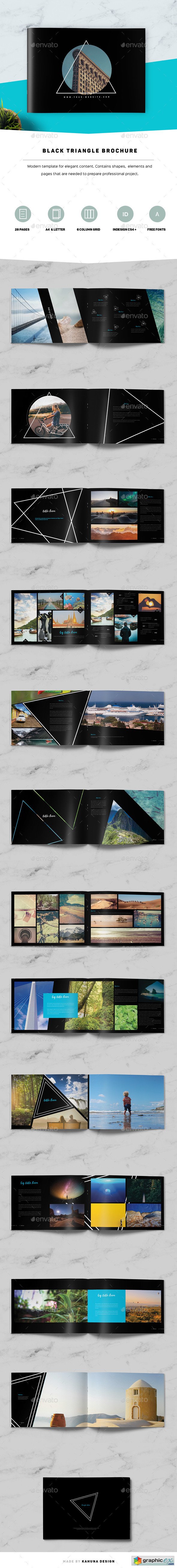 Black Triangle Brochure
