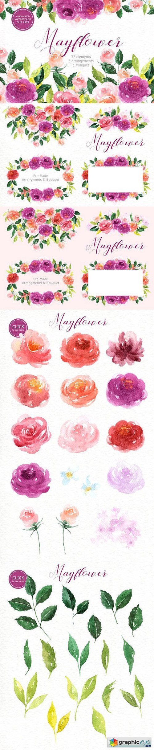 Mayflower Floral Watercolor clipart