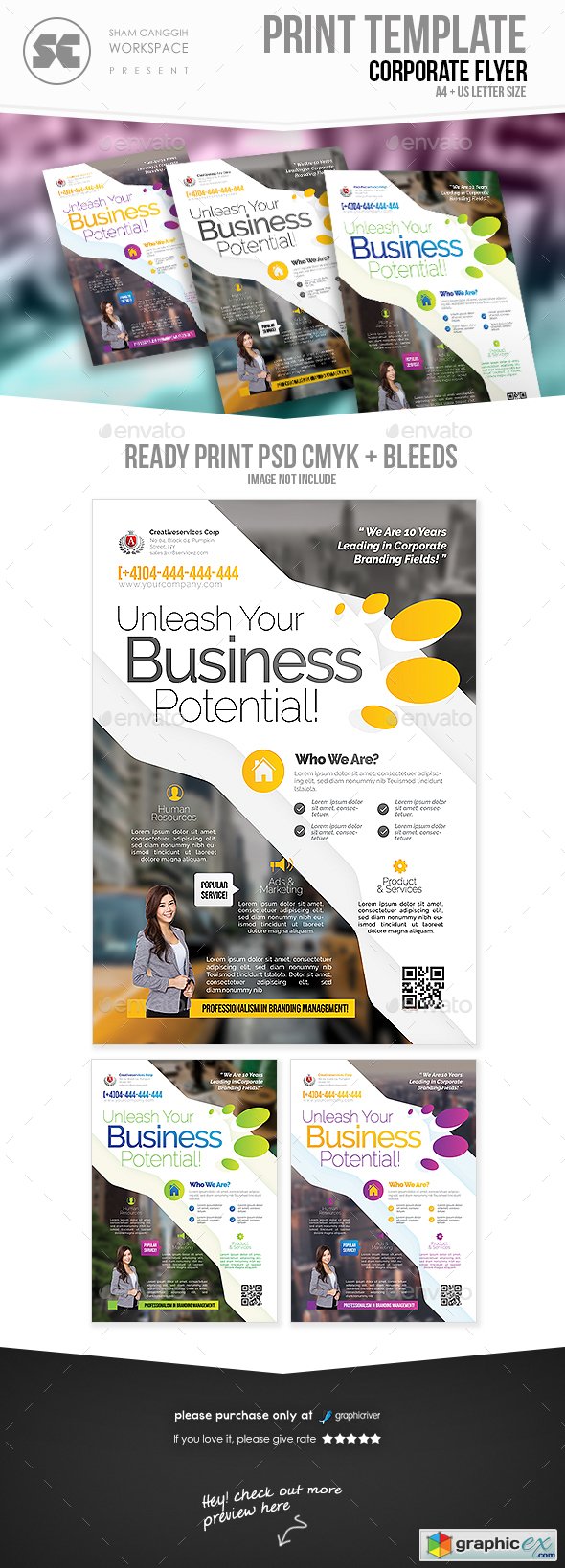 Business Flyer 20037215