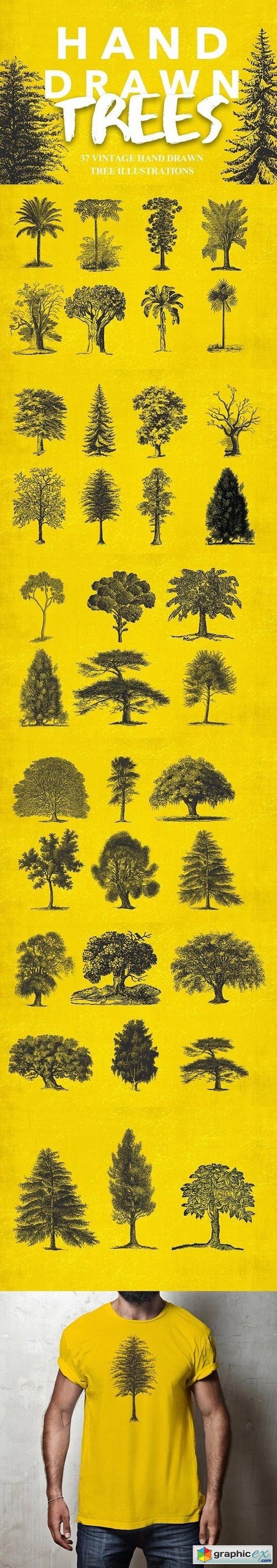 37 Vintage Tree Illustrations