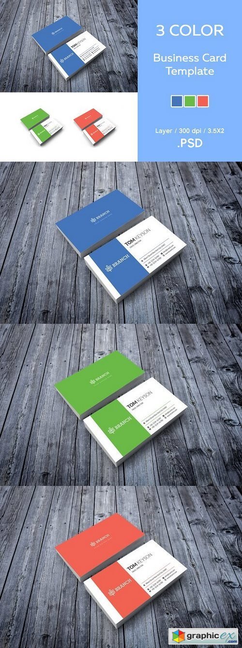 Business Card Template / 3 Color