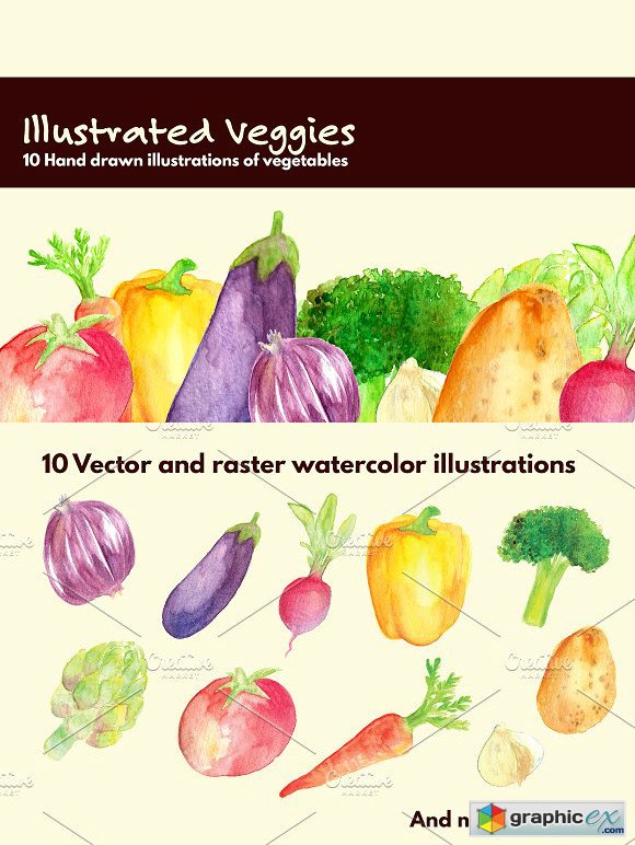 Illustrated Veggies