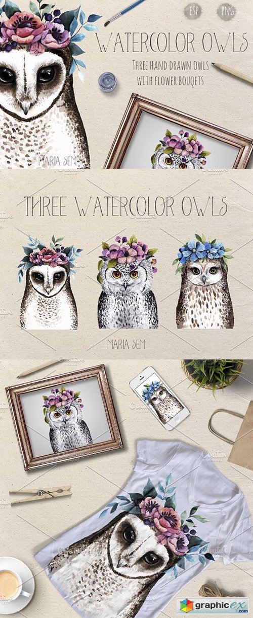 Watercolor Owls
