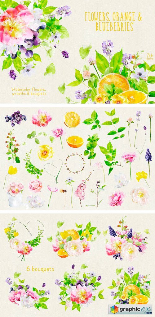 Watercolor Flowers 1604997
