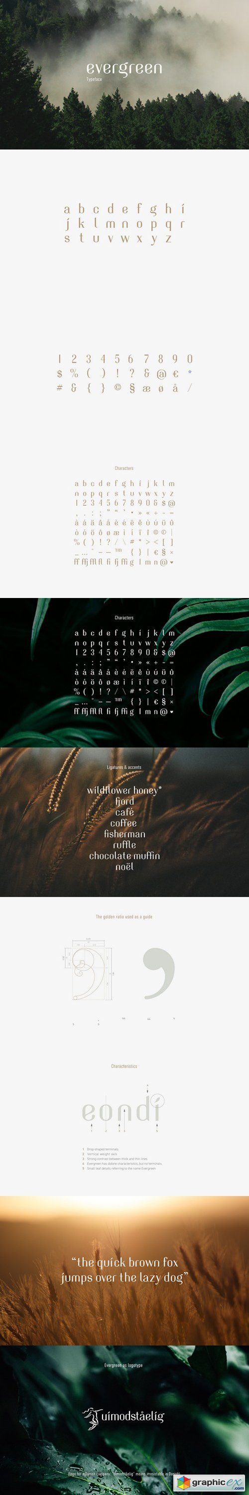 Evergreen Typeface