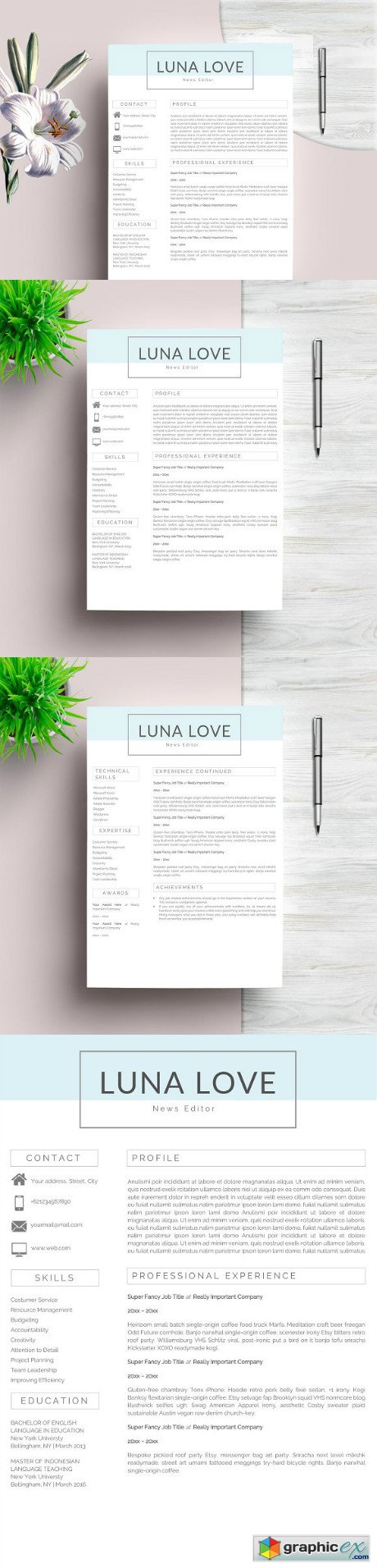Clean Resume Template 2 Pages