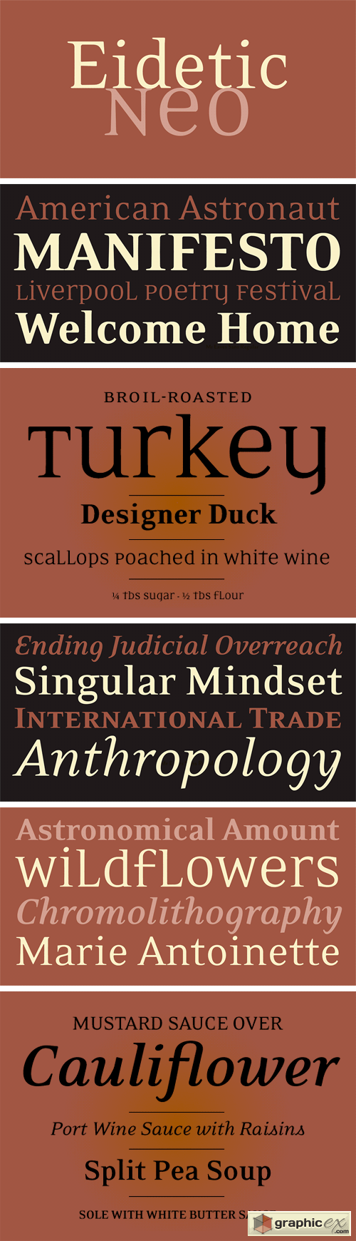 Eidetic Neo Font Family