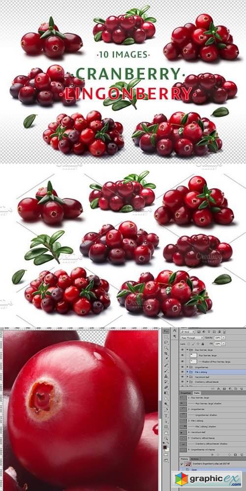 Cranberry & lingonberry