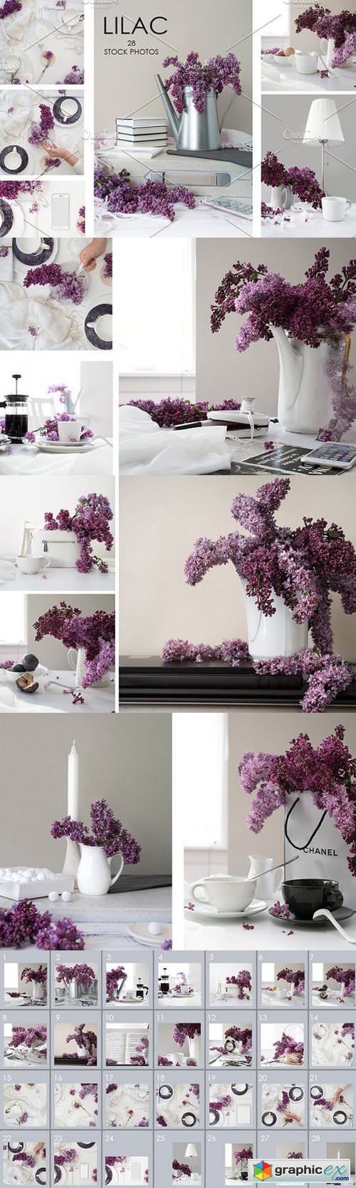 FLOWERS OF LILAC. 28 STOCK PHOTOS