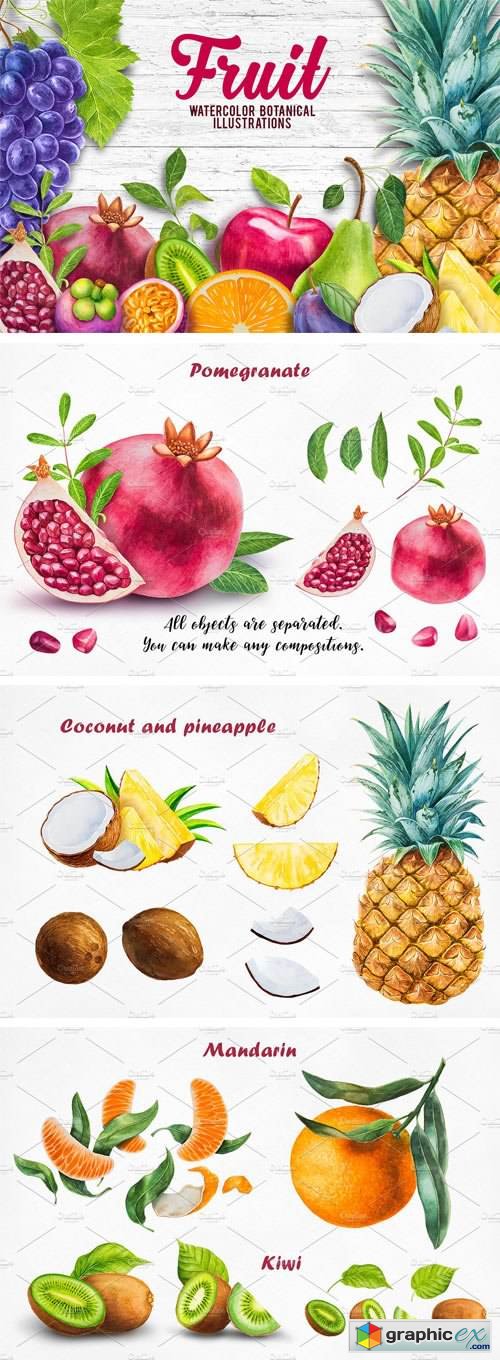 Watercolor Fruits Collection