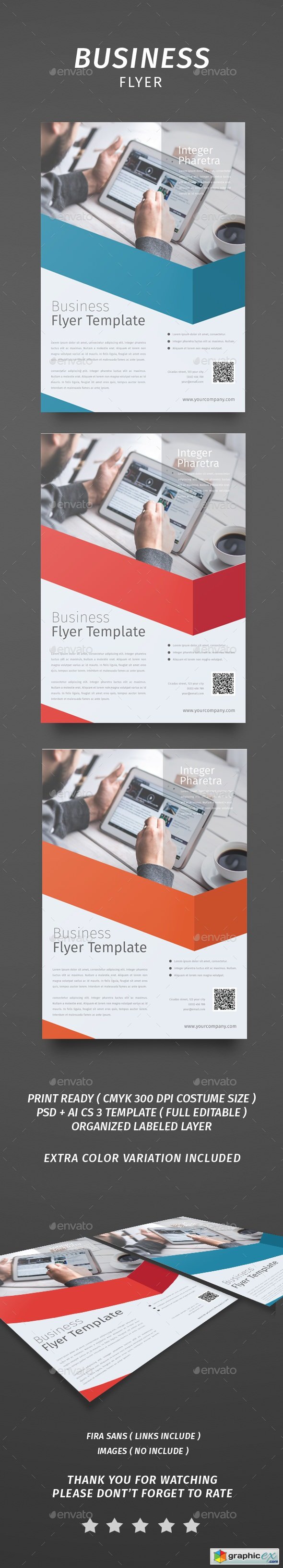 Business Flyer 14365430