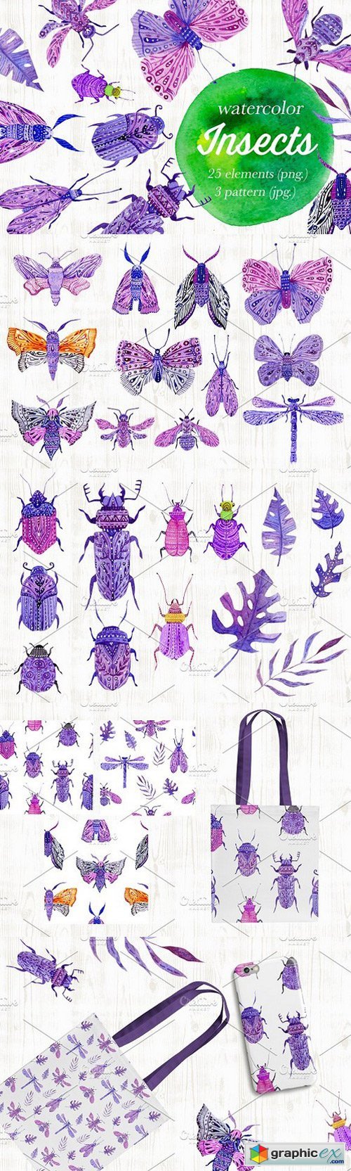 Watercolor insects, bugs, moths
